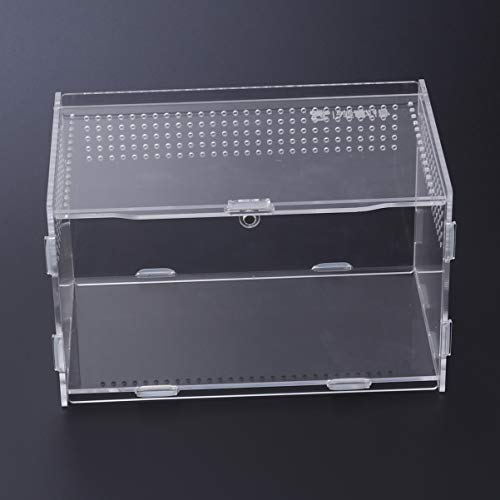 ULTECHNOVO Caso Acrílico Para Reptile Reptile - Durável Acrílico Transparente Caso para Aranha Tarta