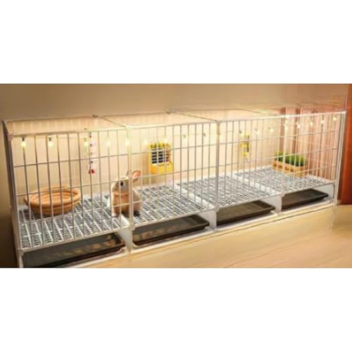 WyazzivƒpϏܗpETMP[W p O㓧 NAł ̃X^C bgΉ (y142*35*52lłz,3_Zbgy̑+̒I+݊zł)