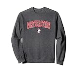 Northeastern Huskies Arch Over Logo Officially Licensed Sweatshirt Small