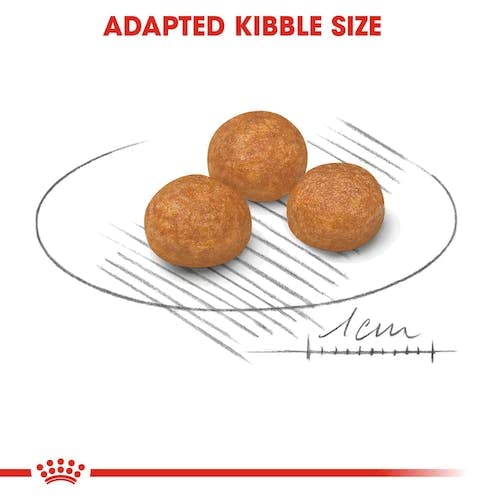 Royal Canin X-Small Adult | Doppelpack | 2 x 500 g | Trockenfutter für ausgewachsene sehr kleine Hunde | Für Hunde bis 4 kg | Ab dem 10 Lebensmonat | Zur Unterstützung des Darms
