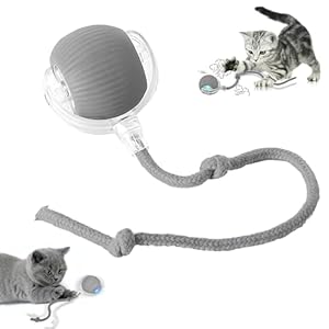 Smart Automatic Rolling Pet Ball, Interactive Electric Toy with Smart Sensor & Auto-Dodging, 6 Hours Playtime Rechargeable for Dogs & Cats (Grey,1pcs)