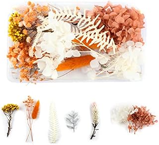 Tomedeks Natural Dried Flowers Dried Embossed DIY Preserved Flowers Resin Jewelry Nails Crafts Scrapbooking Floral Decor (F)