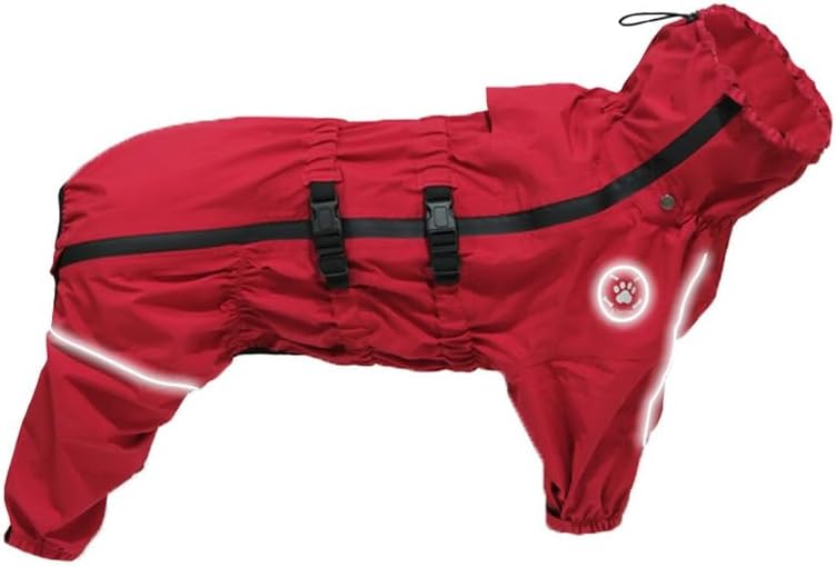 ぶんちゃん、ジューンブライド、シングルリボン(①)わんちゃん猫ちゃん