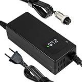Caricabatterie 67,2 V 2 A GX16-3 Femmina per batteria agli ioni di litio 60 V – Bicicletta elettrica con display LED
