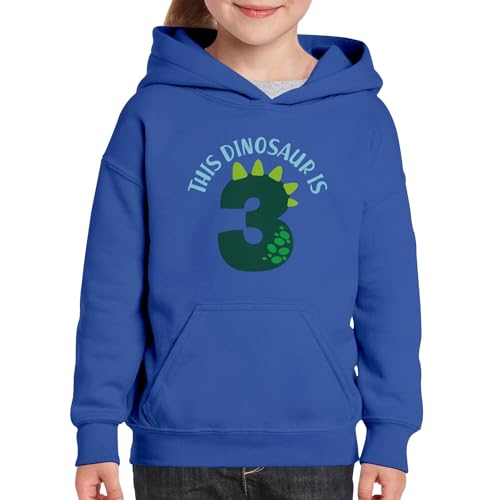 Sweat à capuche enfant de qualité premium pour fête anniversaire 3 ans dinosaure - 3