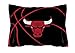 Northwest NBA Chicago Bulls Unisex-Adult Comforter and Sham Set, Twin, Reverse Slam