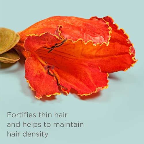 Hairitage Argan Oil Heat Protectant Spray - Up to 450 Degree Thermal Protection for All Hair Types and Heated Styling Tools, Hydrates and Strengthens Hair, Smooth and Add Shine - 6 oz. Spray Bottle - Image 4