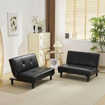 Amazon｜ソファベッド ソファ ベッド ロータイプ 2人 リクライニング