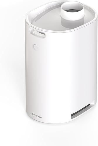 Glowforge Filtro láser para manualidades, compatible con Aura y Spark, con filtros de carbón activado, sin necesidad de ventilación de ventana,