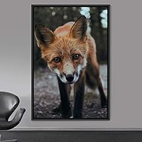 Framed Canvas Wall Art Red Fox Animals Contemporary Expressive Fox Living Room Multicolor Photography - 16x24 inches