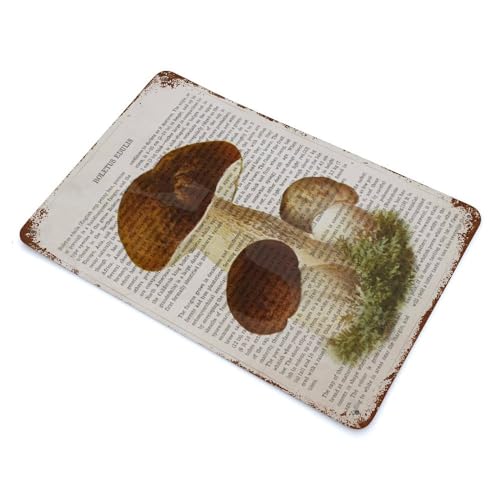 Encuentra la mejor selección de Boletus edulis que puedes comprar esta semana. 17 Imagen adicional