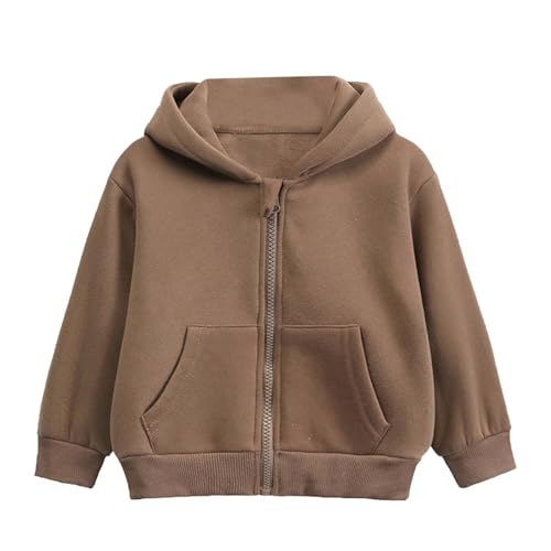 Sweat à capuche zippé fille 12-24 mois veste marron café décontractée automne