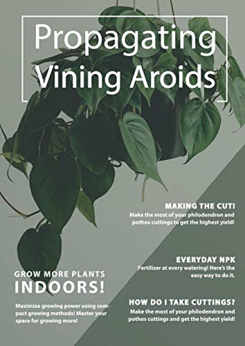 Propagating Vining Aroids: How to Propagate Philodendron, Pothos, Monstera, and Other Aroids With Cuttings