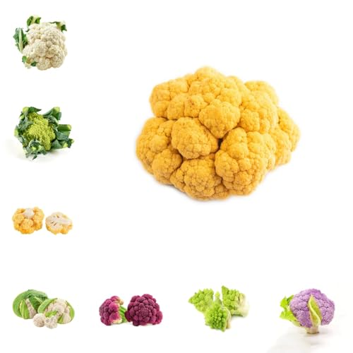 Semi di cavolfiore, semi di invernali giardino giardino sul balcone balcone serra regali per gli amanti del vecchie varietà e 150pcs