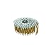 Metabo HPT Siding Nails | 2-1/4-Inch x 0.092-Inch | Collated Wire Coil | Full Round Head | Ring Shank | Hot-Dipped Galvanized | 3600 Count (13367HPT)