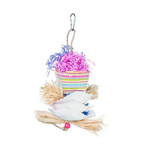 Prevue Pet Products Inc- Assorted Medium