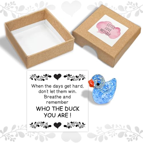 wuguimeii |WeBu Aq ޏւ̃Mtg NX}X LO ^wX |WeBu ċzĊo O[eBOJ[ht{bNX gubZ[W{bNX (_bN)