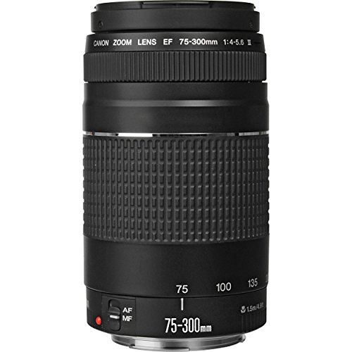 Canon EF 75-300mm f/4-5.6 III Telephoto Zoom Lens for Canon SLR Cameras, 6473A003 (Renewed) - Image 3