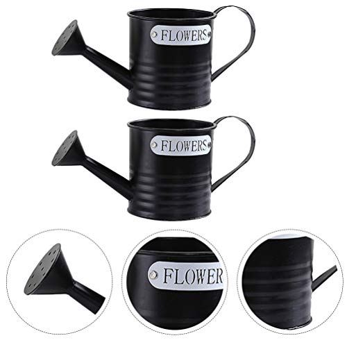 NICEXMAS 2 Pcs Regador de Planta Com Irrigador Flor de Jardim Planta Ao Ar Livre Planta Irrigadora d