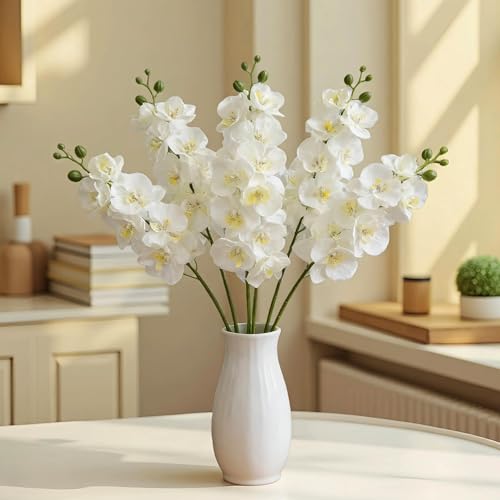 HCTCPALS Outdoor White Orchids