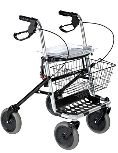 Rollator 4 Ruote Dyone 1.0 RP689