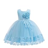 Mädchen Ballkleid Tüll Prinzessin Kleider 3D Blume Rüschen Lagenkleid Party Hochzeit Brautjungfernkleider Prinzessin Geburtstag Karneval Weihnachten Ballkleid besondere Anlässe für Kinder 2-12 Jahre