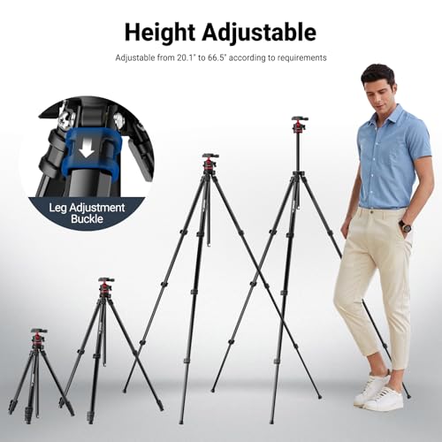 NEEWER Basics 66.5"/169 cm Travel Tripod for Camera, Lightweight Portable DSLR Stand with Ball Head, Arca Type QR Plate, Cell Phone Holder Compatible with iPhone Video Recording, Max Load 11 lb, TP12 by NEEWER - Image 7