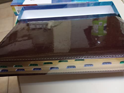 Biblia de Estudio Arco Iris / Rainbow Study Bible