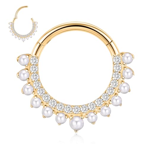 FUNLMO 16G 18G Septum Daith Jewelry Nose Ring Hoop Cartilage Earring Rook Tragus Helix Conch Piercing Jewelry 316L Surgical Steel Clicker