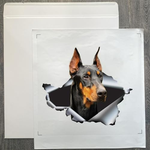 Image of Vinyl Dog Stickers - Car Decals for Women & Dog Lovers (Doberman)