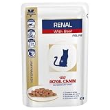 Gato, comida húmeda, riñón.