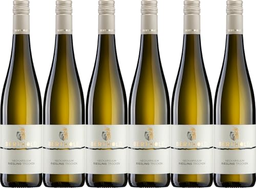Berthold Neckarsulmer Riesling 2024 Trocken (6 x 0.75 l)