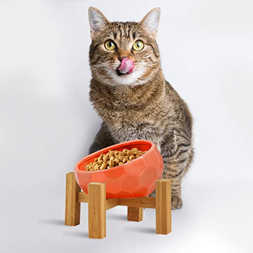 Lifetech Ceramic Dog Bowl Raised Cat Bowl Slanted Cat Dish with Wood Stand Pet Food Water Feeder No Spill Pet Feeding Bowls Tilted Cat Dog Basic Bowl, Orange