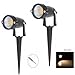 LemonBest® High Power Outdoor Decorative Lamp Lighting 5W COB LED Landscape Garden Wall Yard Path Light Warm Cool White DC 12V w/Spiked Stand, Pack of 2 (Warm White)
