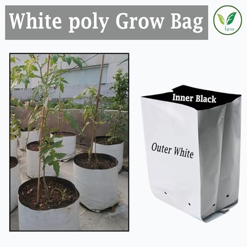 Image of IAgriFarm UV Treated Poly Grow Bags, 28 * 28 * 50cms, Pack of 100, White & Black, for Home Gardening