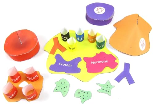 Image of NewPath Blood 3-D Paper Model Making Kit - Individual Student Edition (24-7780)