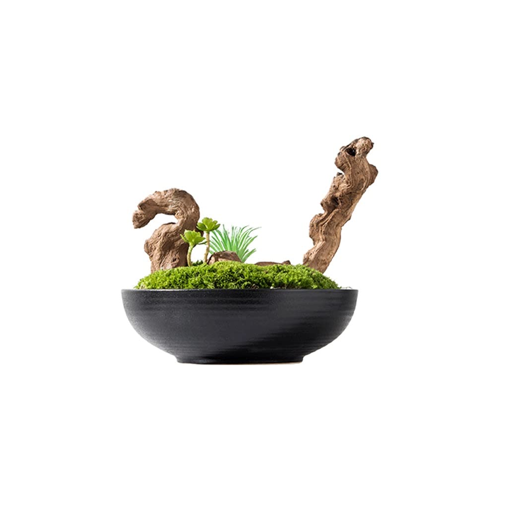 Decoración suave para mesa de café que transforma tu sala de estar en un oasis zen