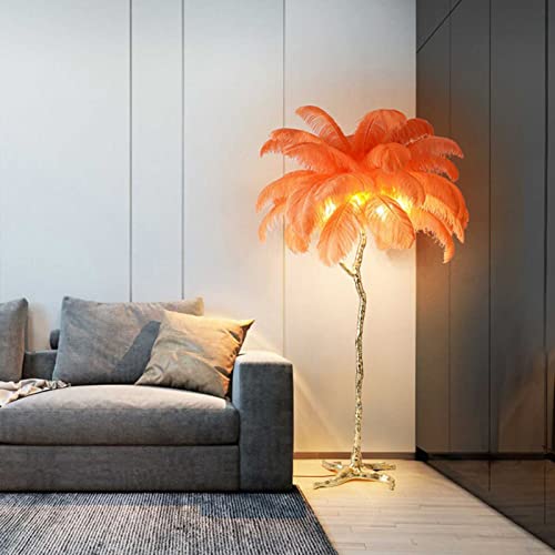Modern Luxury Ostrich Feather Floor Lamp,Three Color Dimmable Floor Light,Nordic Decoration Home Resin Standing Lamp for Villa, Home, Hotel Floor Lighting (Orange) (Orange ) Modern Luxury Ostrich Feather Floor Lamp,Three Color Dimmable Floor Light,Nordic Decoration Home Resin Standing Lamp for Villa, Home, Hotel Floor Lighting (Orange) (Orange )
