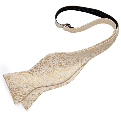 Image of DiBanGu Paisley Bow Ties for Men Silk Self Tied Bowtie and Pocket Square Cufflinks with Lapel Pin for Wedding Party