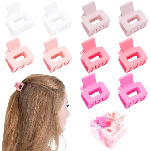 Ahoney 10Pcs Pink Hair Claw Clips for Women Girls, 1' Mini Matte Small Hair Clips for Thin Thick Medium Hair Cute Jaw Clips Strong Hold Hair Barrettes Clip with Gift Box (Pink)
