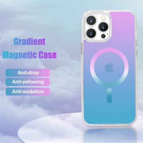 Étui de chargeur sans fil mat pour iPhone 12 Pro Max rainbow - 2