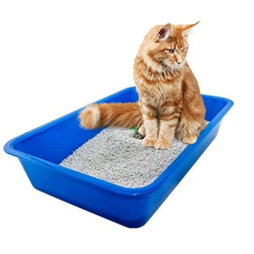 DHANABAPA Cat Litter Tray, Cat, Dog, Rabbit Pet Toilet Litter, Strong Plastic Cat Litter Tray Tough and Durable, Plastic Box Toilet Rim, Big Tray Plastic BPA Free Easy to Clean (Multi - 1pc) (B0CDC66C61) Amazon Price History, Amazon Price Tracker