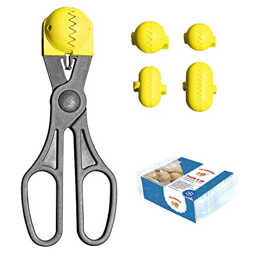 La croquetera Pack- Pelle multifonction couleur Jaune  4 Moules interchangeables pour masse + Pack 20 plateaux conservation  100% espagnol?: patenté et fabriqué en Espagne