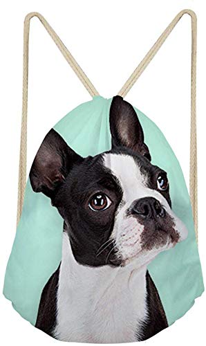 AFPANQZ Boston Terrier Design Drawstring Backpack Cute Cinch Bag Beach Shoulder Bag Gym