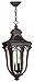 Hinkley Trafalgar Collection Traditional Three Light Large Outdoor Hanging Lantern, Mocha