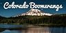Aussie Wooden Boomerang thumbnail 3