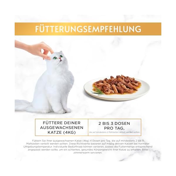 Gourmet PURINA GOURMET Gold Feine Komposition Katzenfutter nass, mit Ente und Truthahn, 12er Pack (12 x 85g) – Bild 7