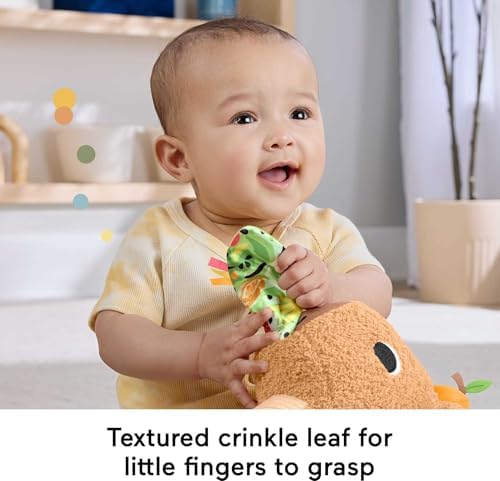 Fisher-Price 3 ay ve üzeri bebekler için Yumuşacık Obur Kapi duyusal gelişim oyuncağı, yenidoğanlar için dişlik ve çıngırak, HYR54 - Görsel 5