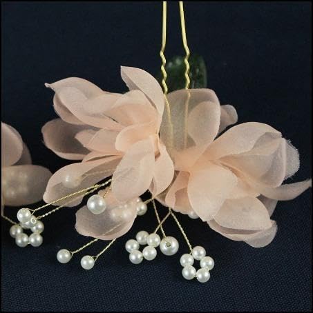  LbY ̎q  q wAANZT[ sAm\