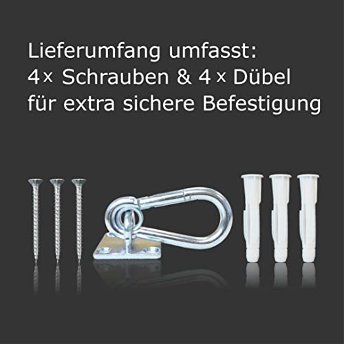 Connecting Ring Horse with Carabiner Connector for Screwing Eye Plate Solid Stainless Steel with 4 x Screws + 4 x Dowels (1 x Connecting Ring with Carabiner) - Image 3